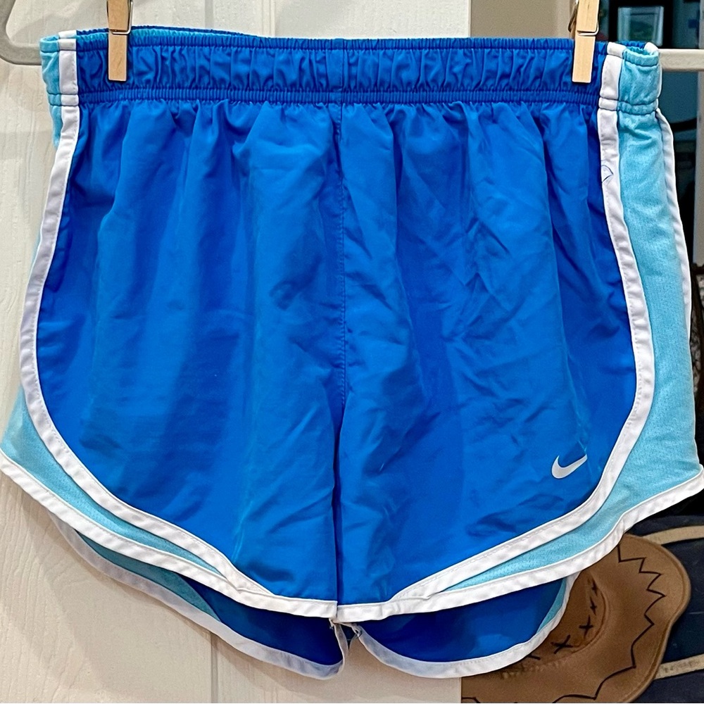 Royal blue and aqua Nike shorts